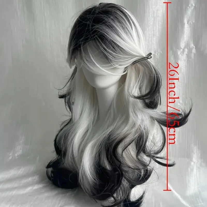 26-Inch Long Black And White C - Synthetic Wigs 评论和价格